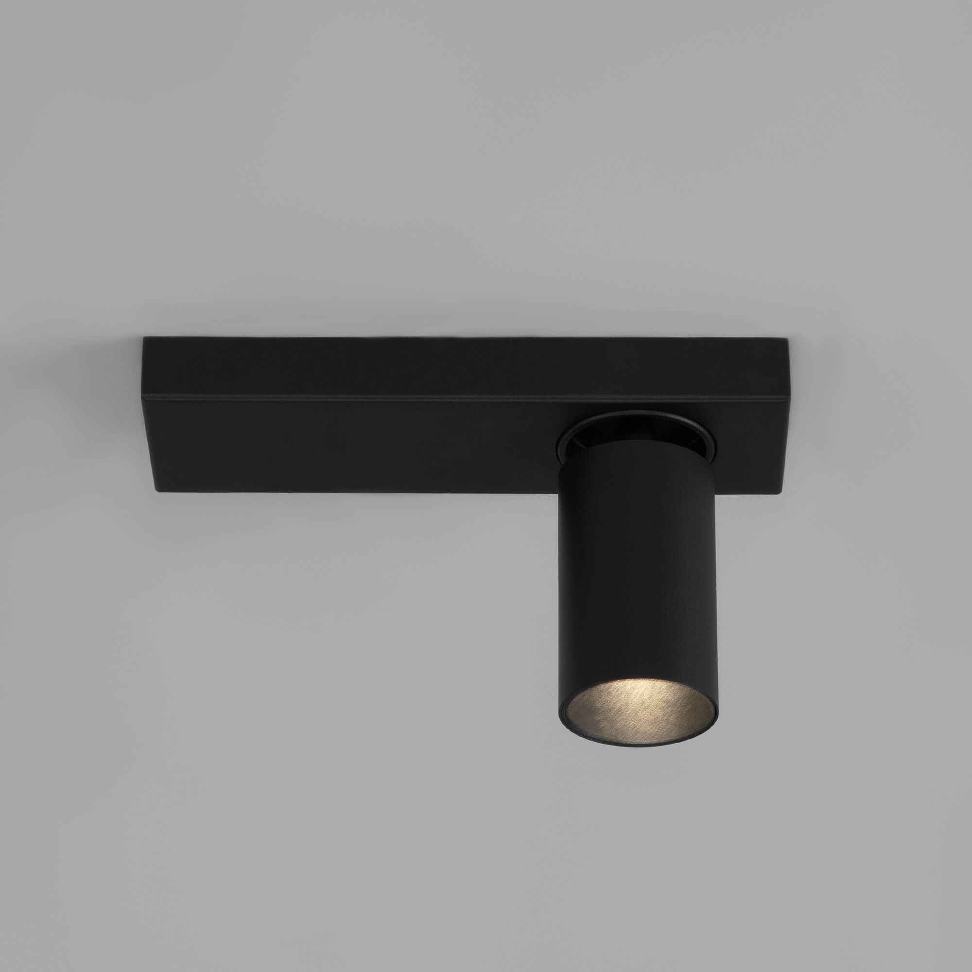 Настенно-потолочный поворотный спот Eurosvet Flank 20139/1 LED черный