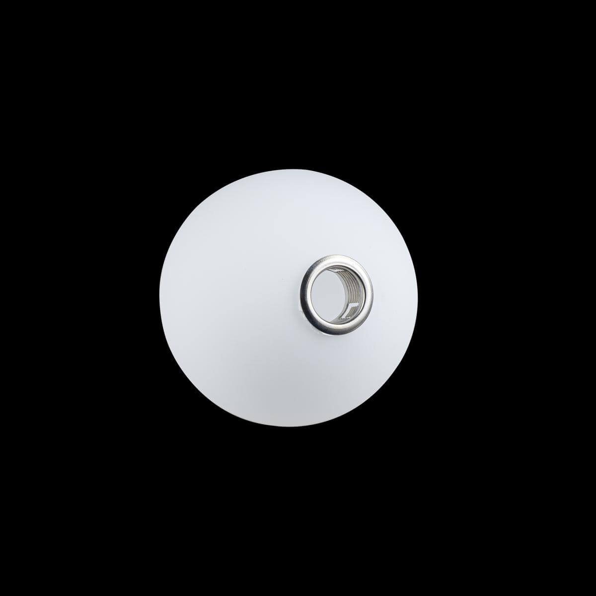 Потолочный светильник Loft IT Matisse 10008/1C white