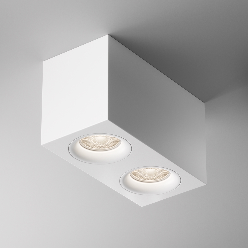 Накладной потолочный светодиодный светильник с поворотной лампой Maytoni Slim C013CL-02W