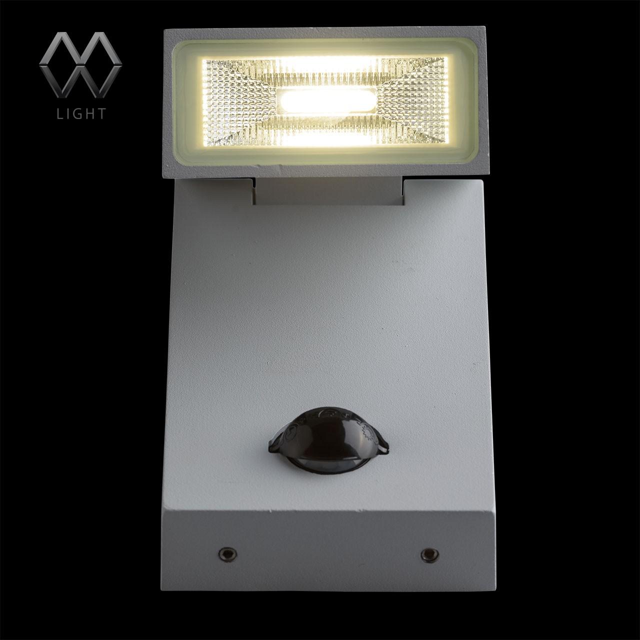 Уличный настенный светильник MW-Light Меркурий 807021601
