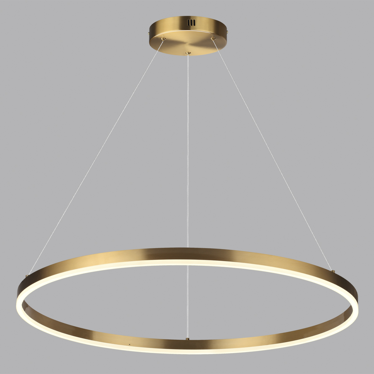 Подвесной светодиодный светильник кольцо Lumion ECHO 6531/67L