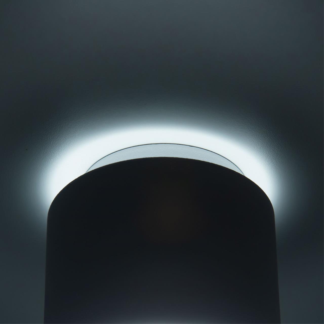 Потолочный светильник Citilux Борн CL745010N