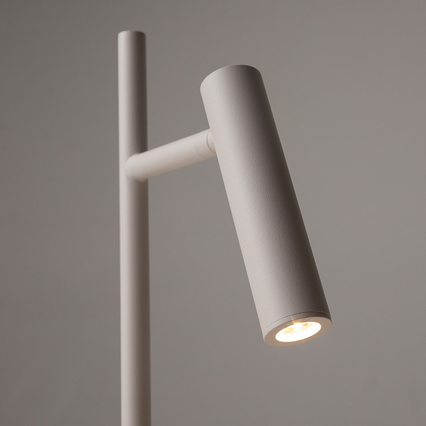 Торшер Maytoni Estudo Z010FL-L8W3K