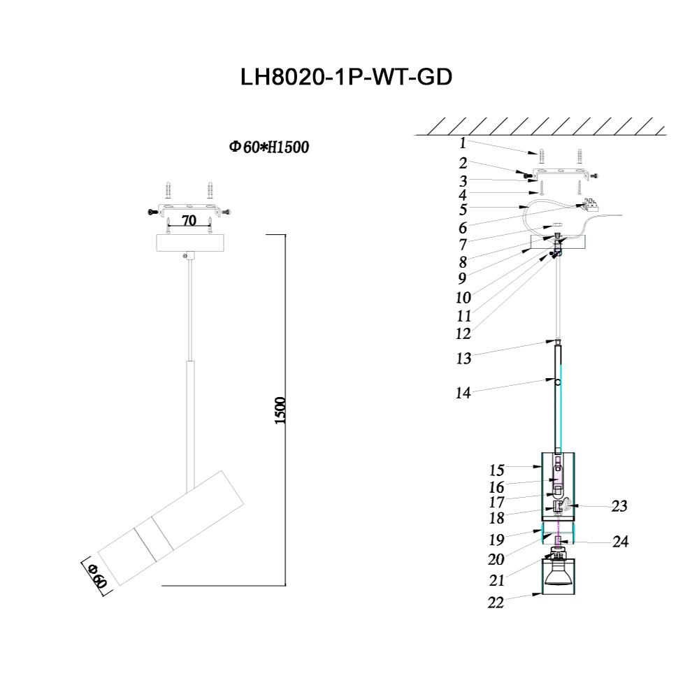Подвесной светильник Lumien Hall Саурис LH8020/1P-WT-GD