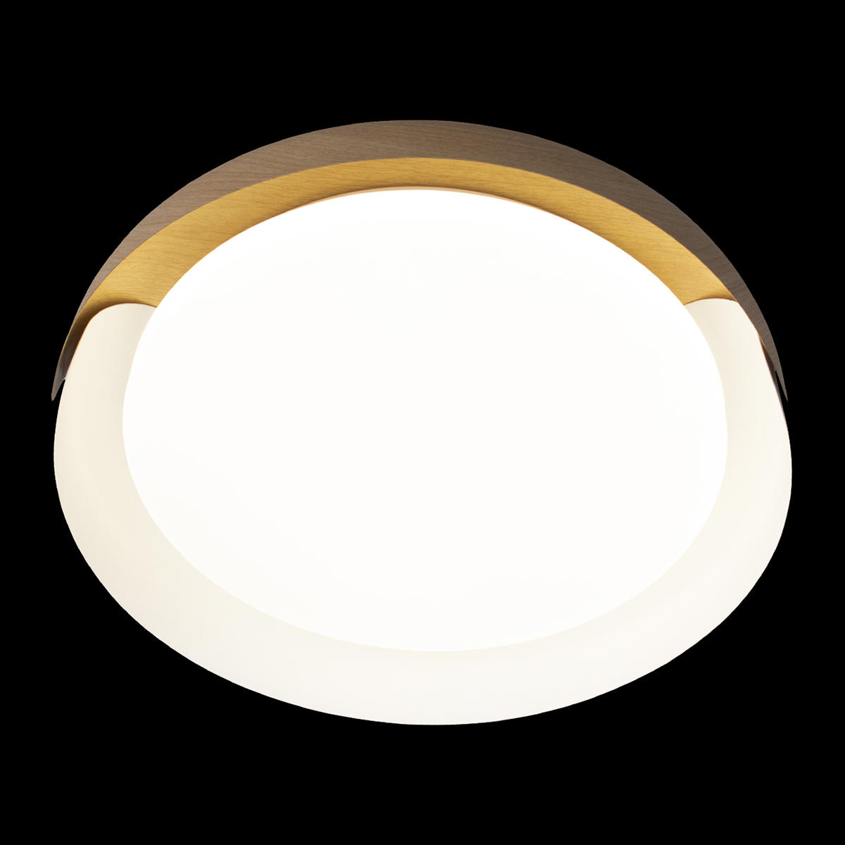 Потолочный накладной белый светильник Loft It Coin 10198 White