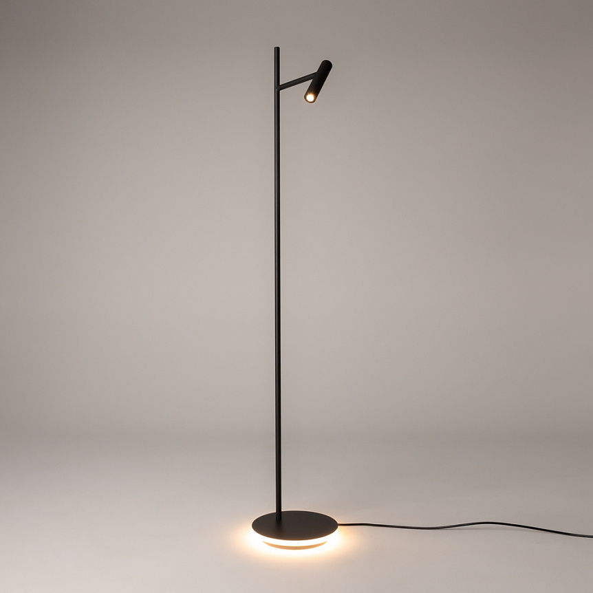 Торшер Maytoni Estudo Z010FL-L8B3K