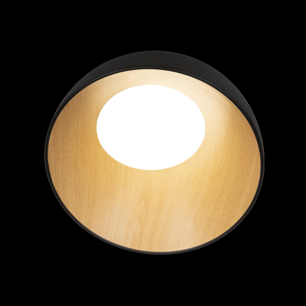Потолочный светильник с деревом Loft It Egg 10197/350 Black
