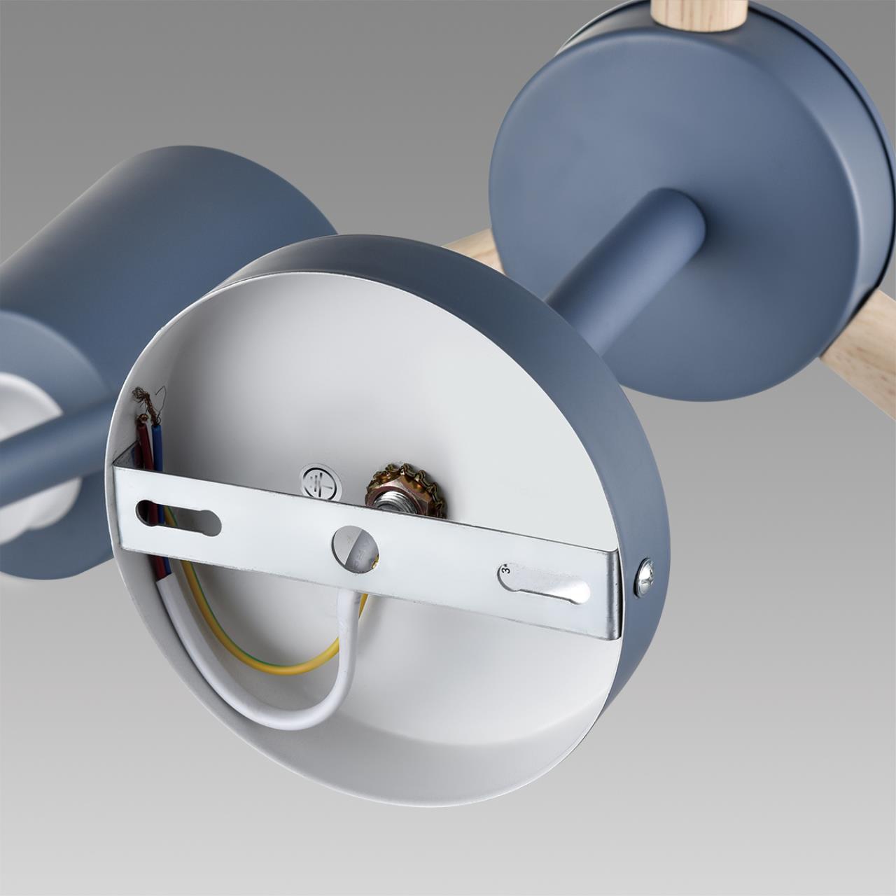 Потолочная люстра на штанге Lumion  ROSALINA 8098/6C