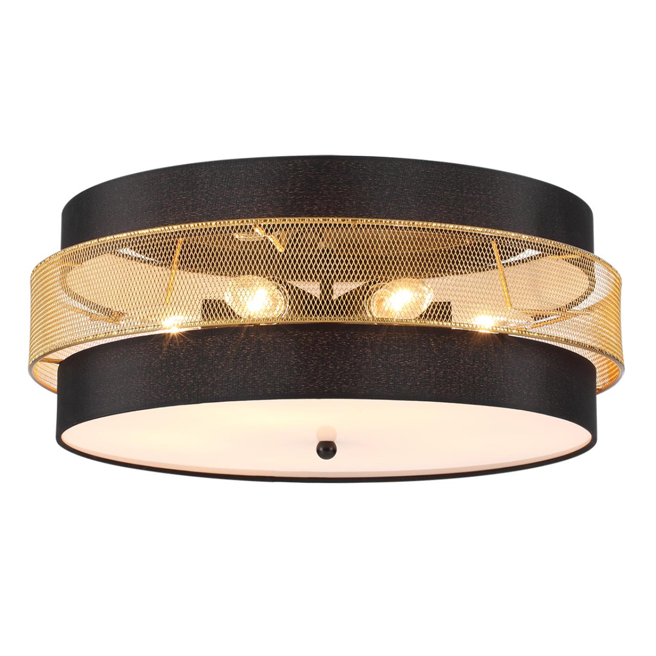 Потолочный круглый светильник Lumion  ANIMAISA 8003/6C