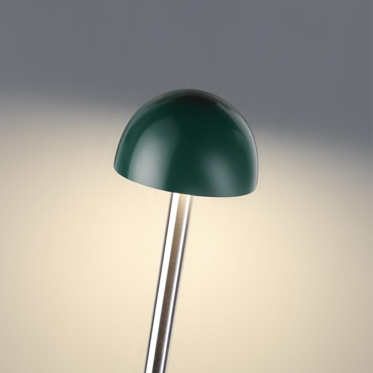 Уличный ландшафтный светильник для установки в грунт Odeon Light VERDE 7122/4GLB