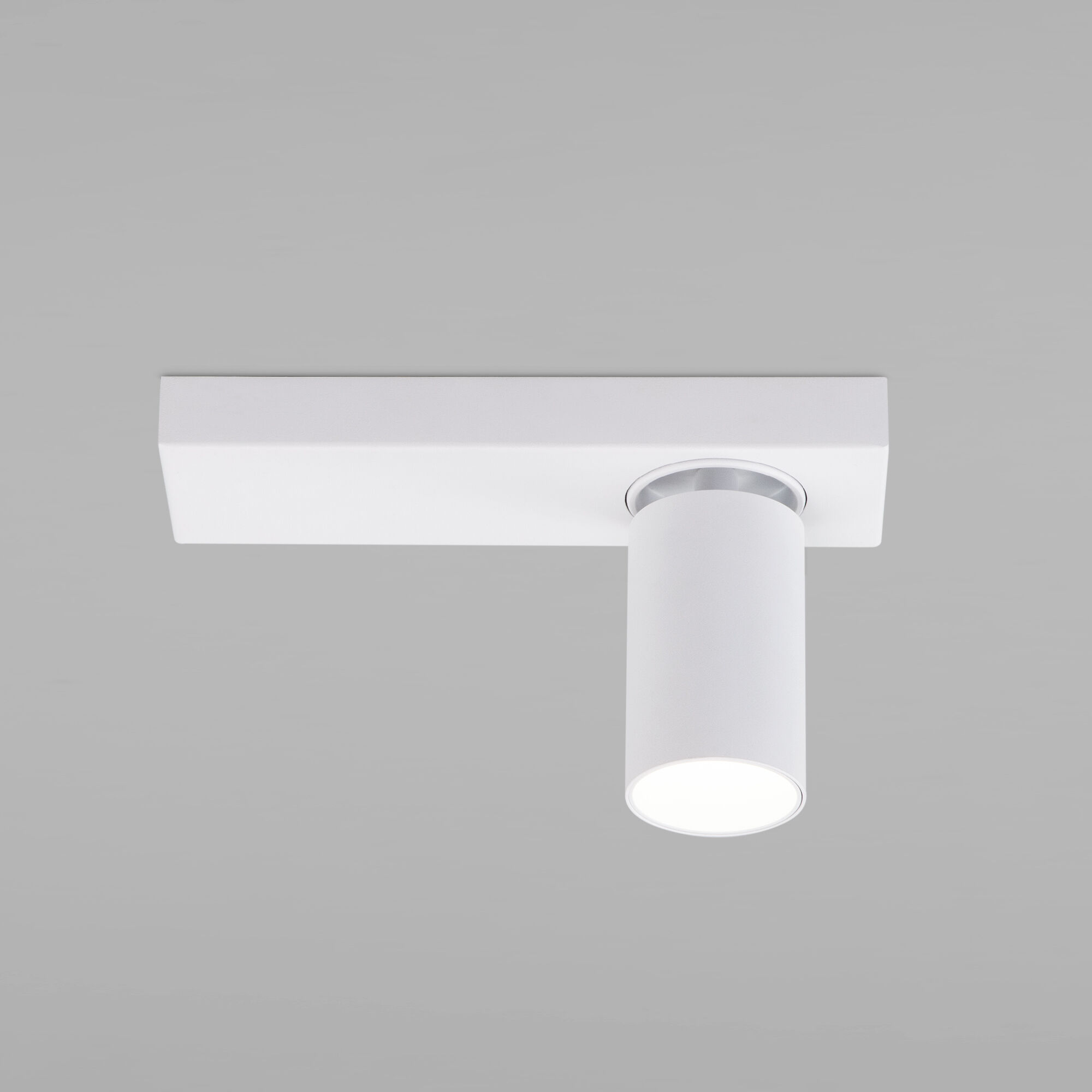 Настенно-потолочный поворотный спот Eurosvet Flank 20139/1 LED белый