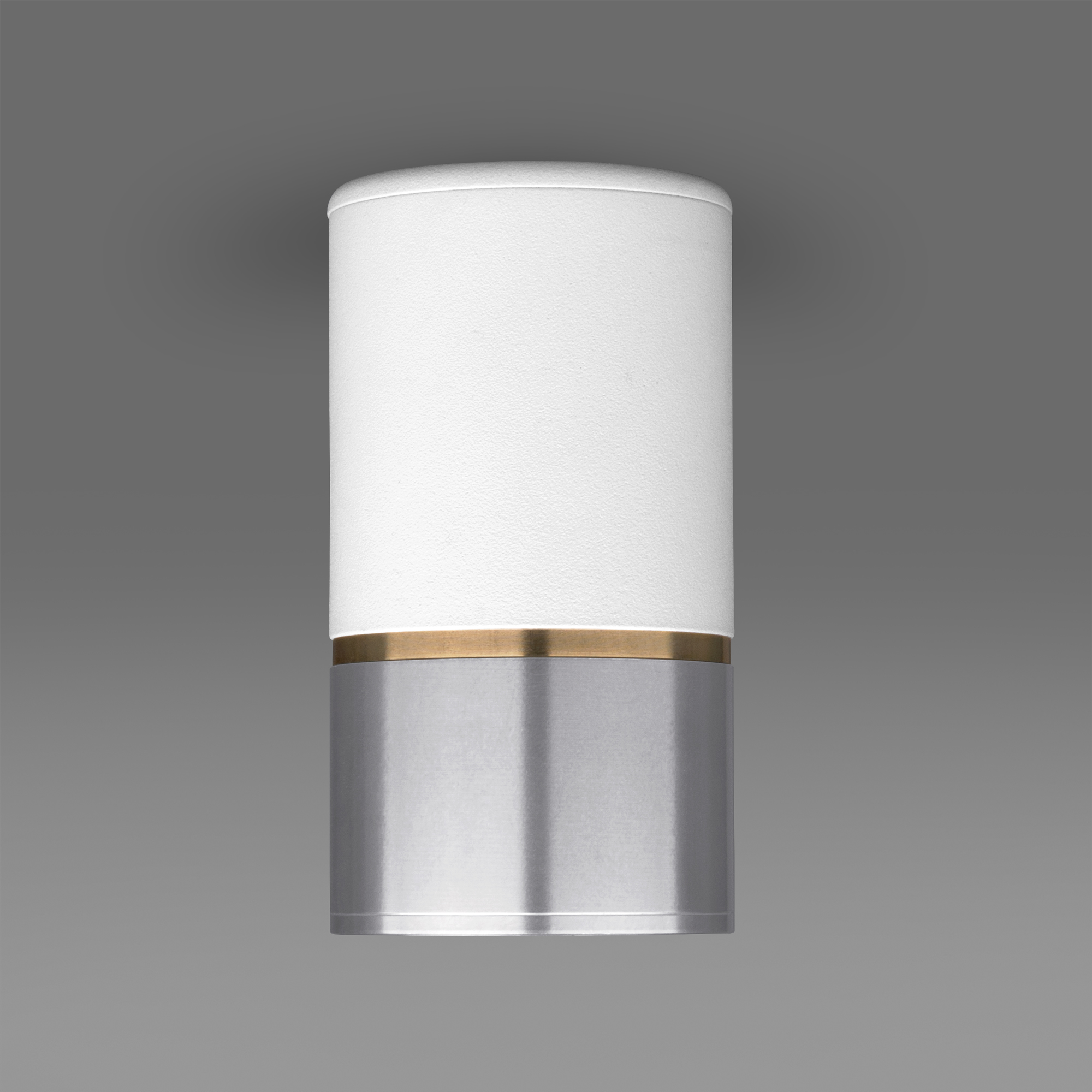 Потолочный светильник Elektrostandard DLN106 GU10 белый/серебро