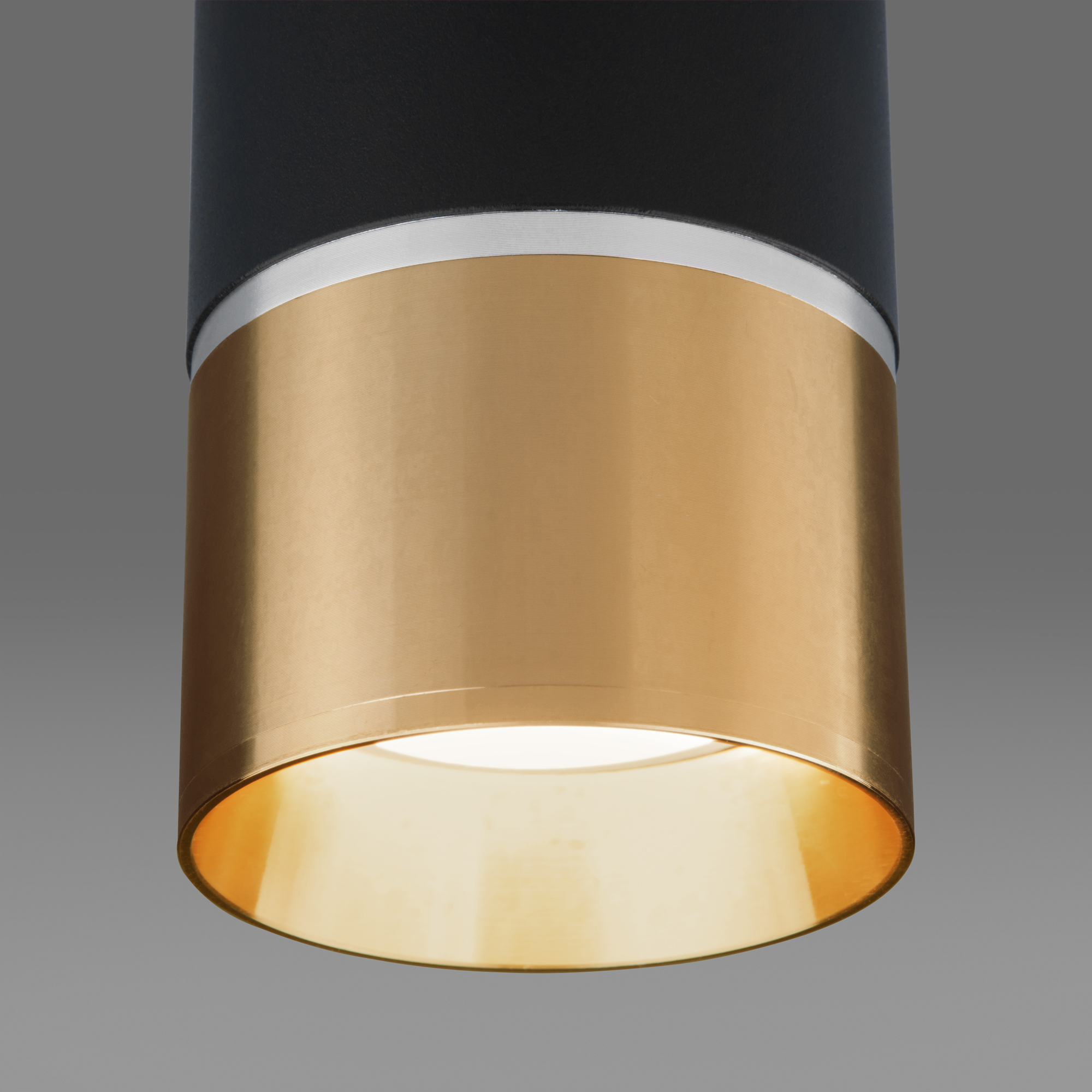 Потолочный светильник Elektrostandard DLN106 GU10 черный/золото