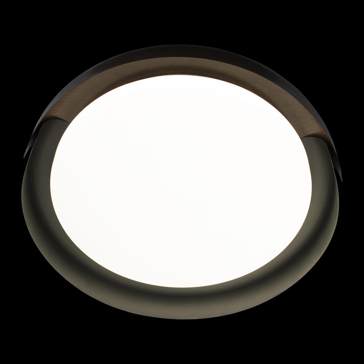 Потолочный накладной черный светильник Loft It Coin 10198 Black