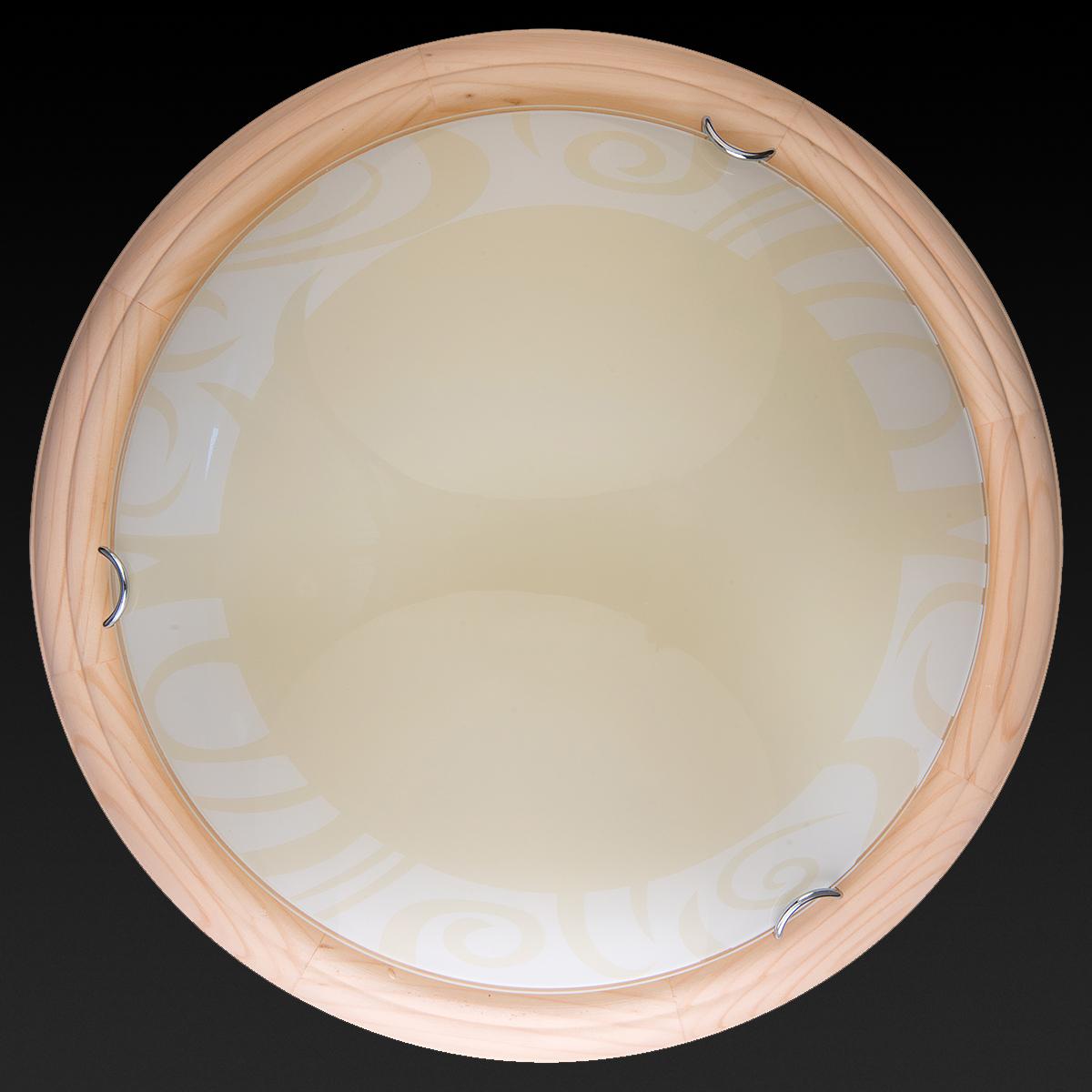 Настенно-потолочный светодиодный светильник Toplight Ginger TL9620Y-00PN