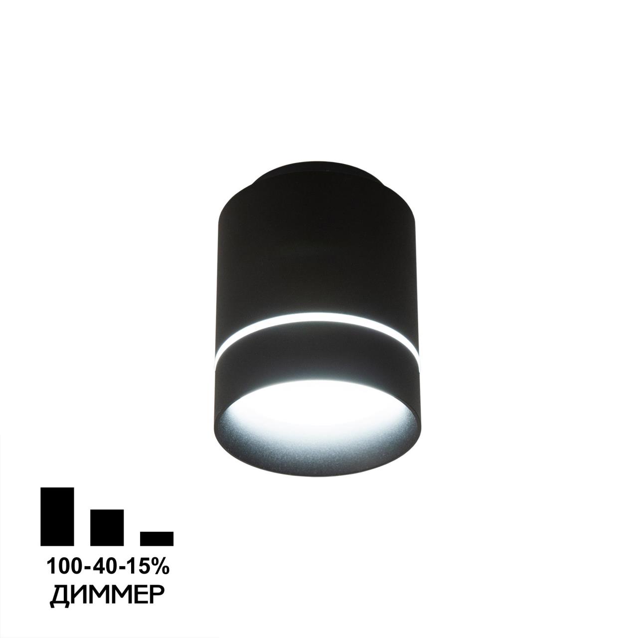 Потолочный светильник Citilux Борн CL745011N