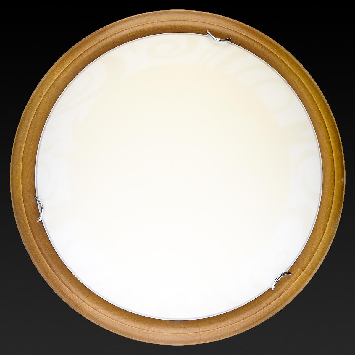 Настенно-потолочный светодиодный светильник Toplight Ginger TL9620Y-00OA