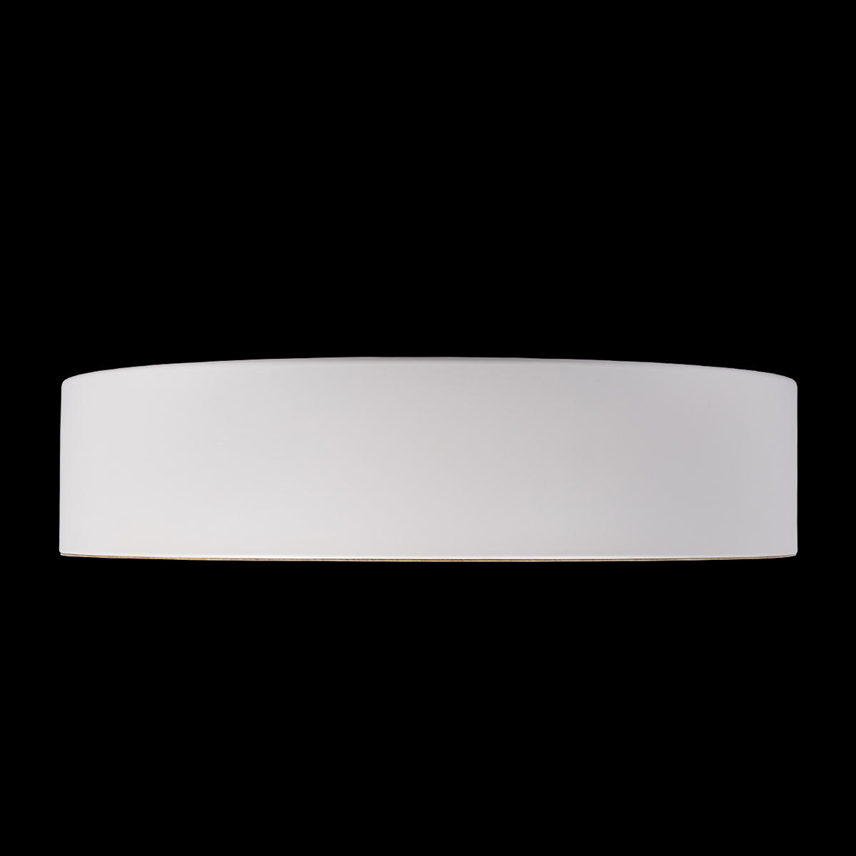 Потолочный накладной белый светильник Loft It Coin 10202 White