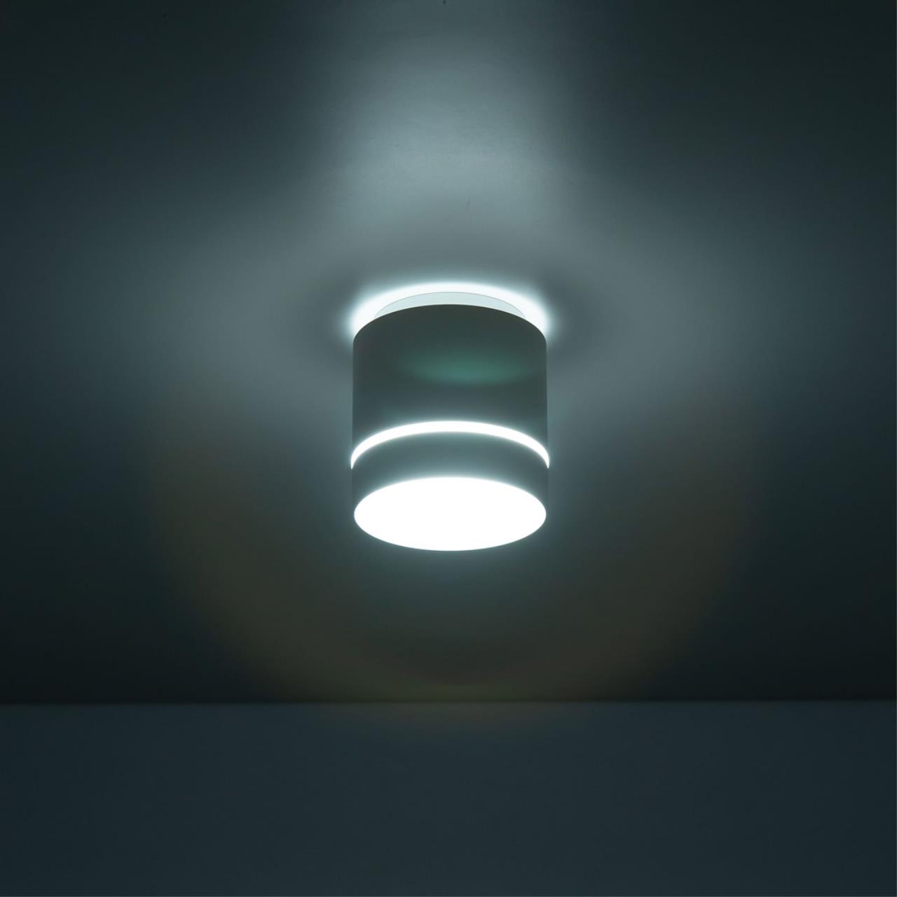 Потолочный светильник Citilux Борн CL745020N