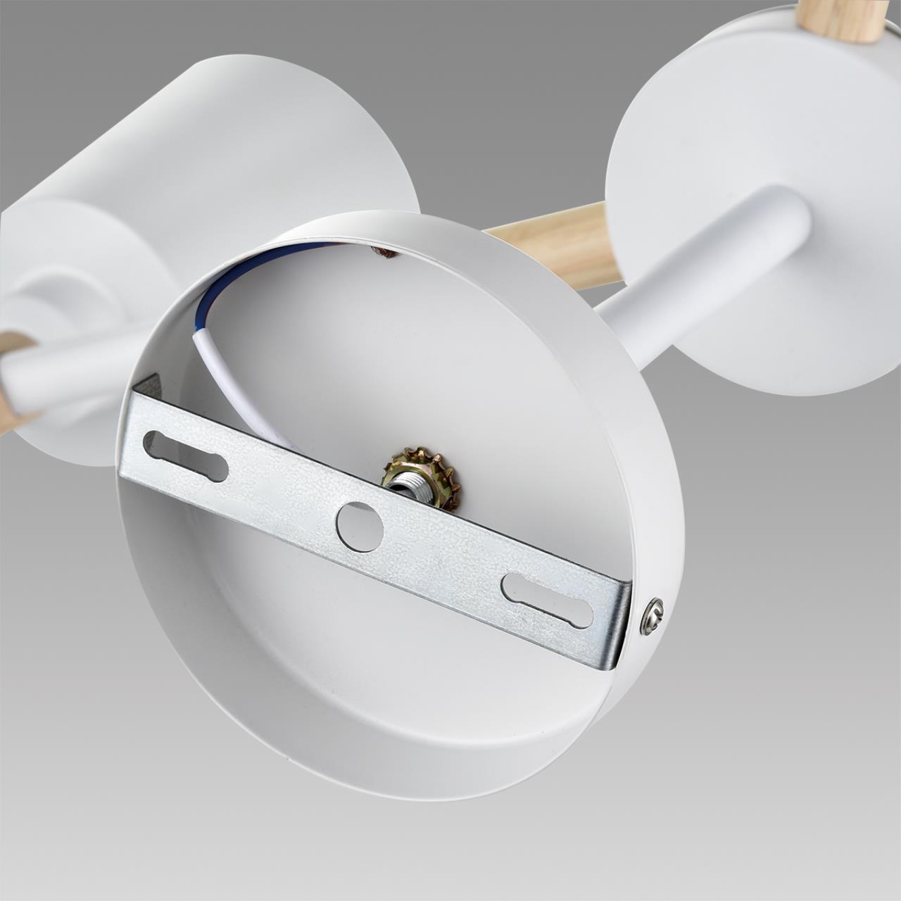 Потолочная люстра на штанге Lumion  ROSALINA 8097/6C