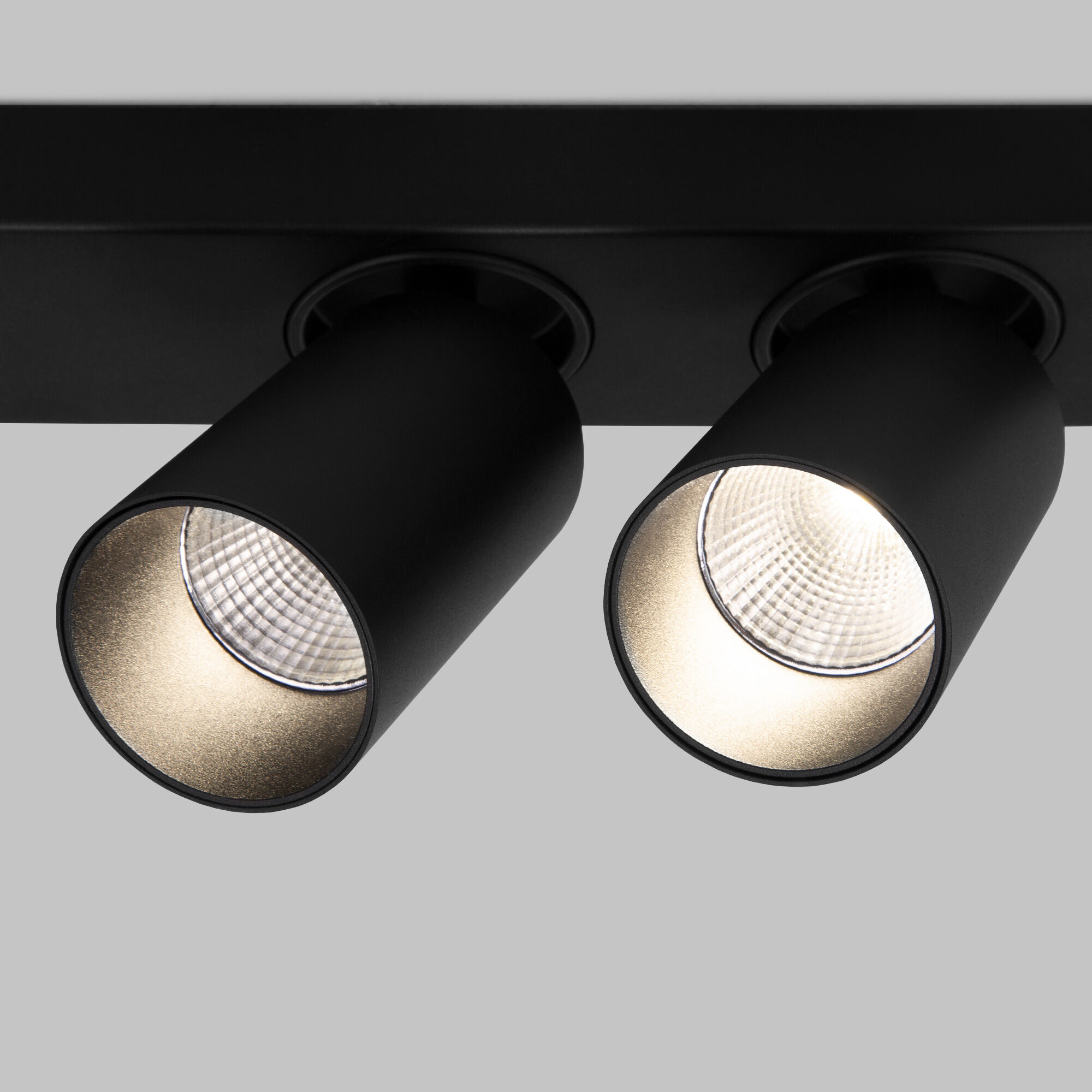 Настенно-потолочный поворотный спот Eurosvet Flank 20139/2 LED черный