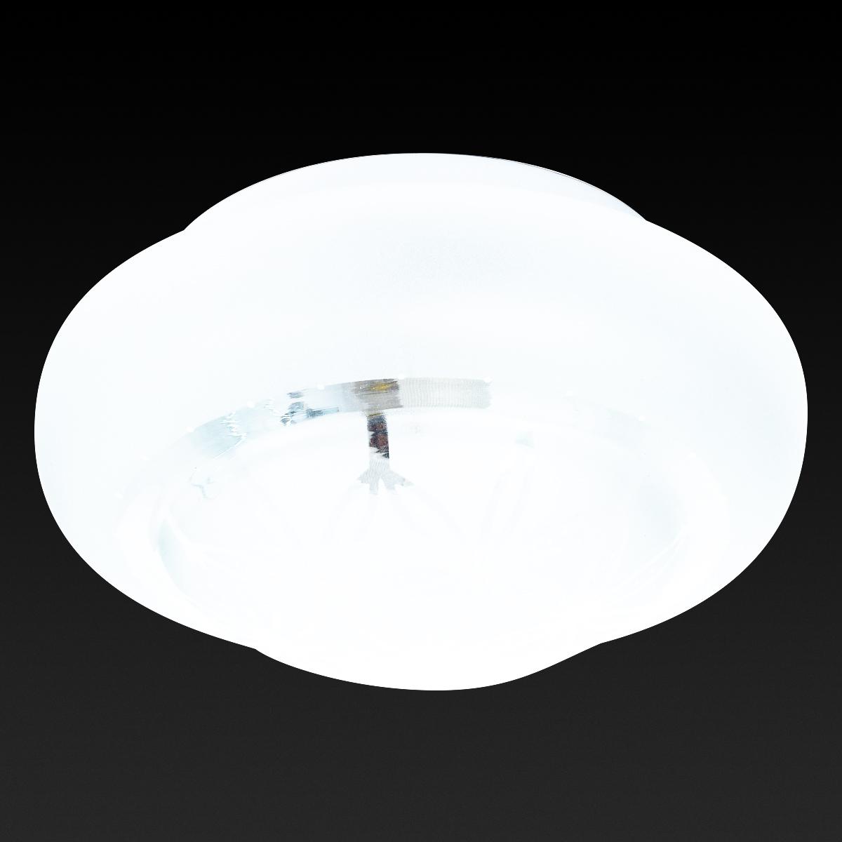 Потолочный светильник Toplight Brianna TL9571Y-01WH
