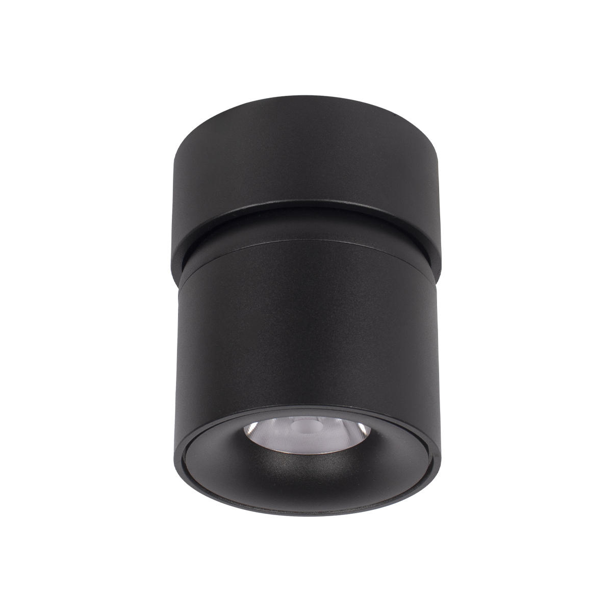 Потолочный накладной поворотный светильник Loft It Tictac  10180 Black