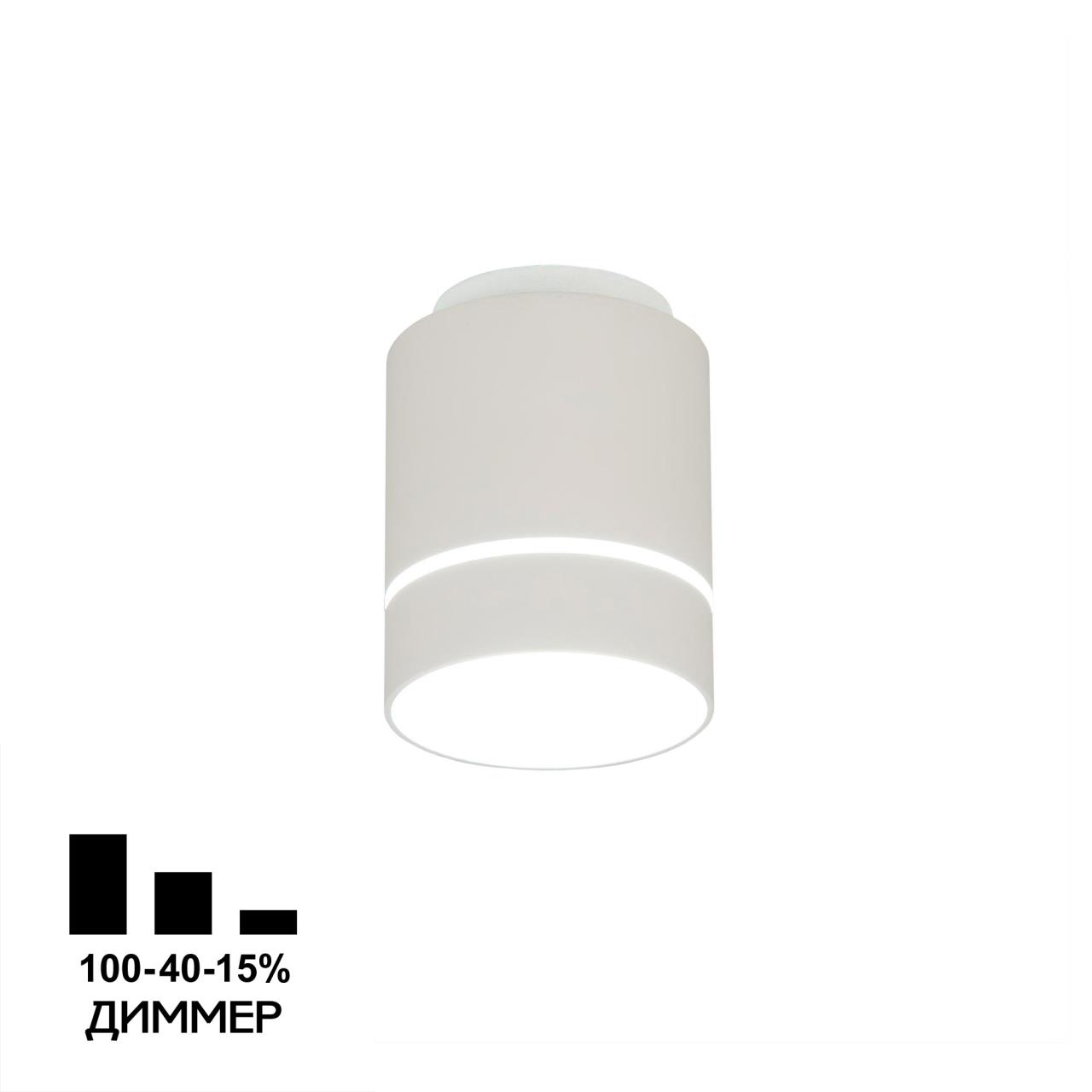 Потолочный светильник Citilux Борн CL745020N