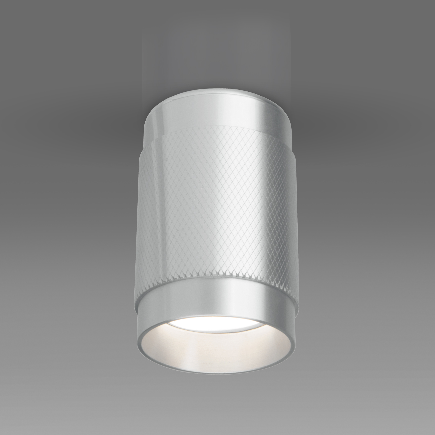 Потолочный светильник Elektrostandard Tony DLN109 GU10 серебро