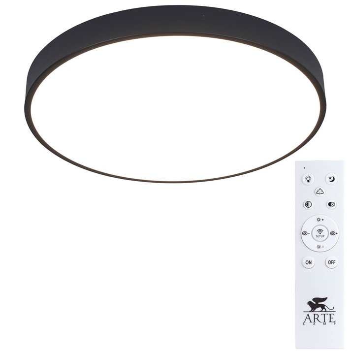 Потолочный светодиодный светильник Arte Lamp Arena A2672PL-1BK