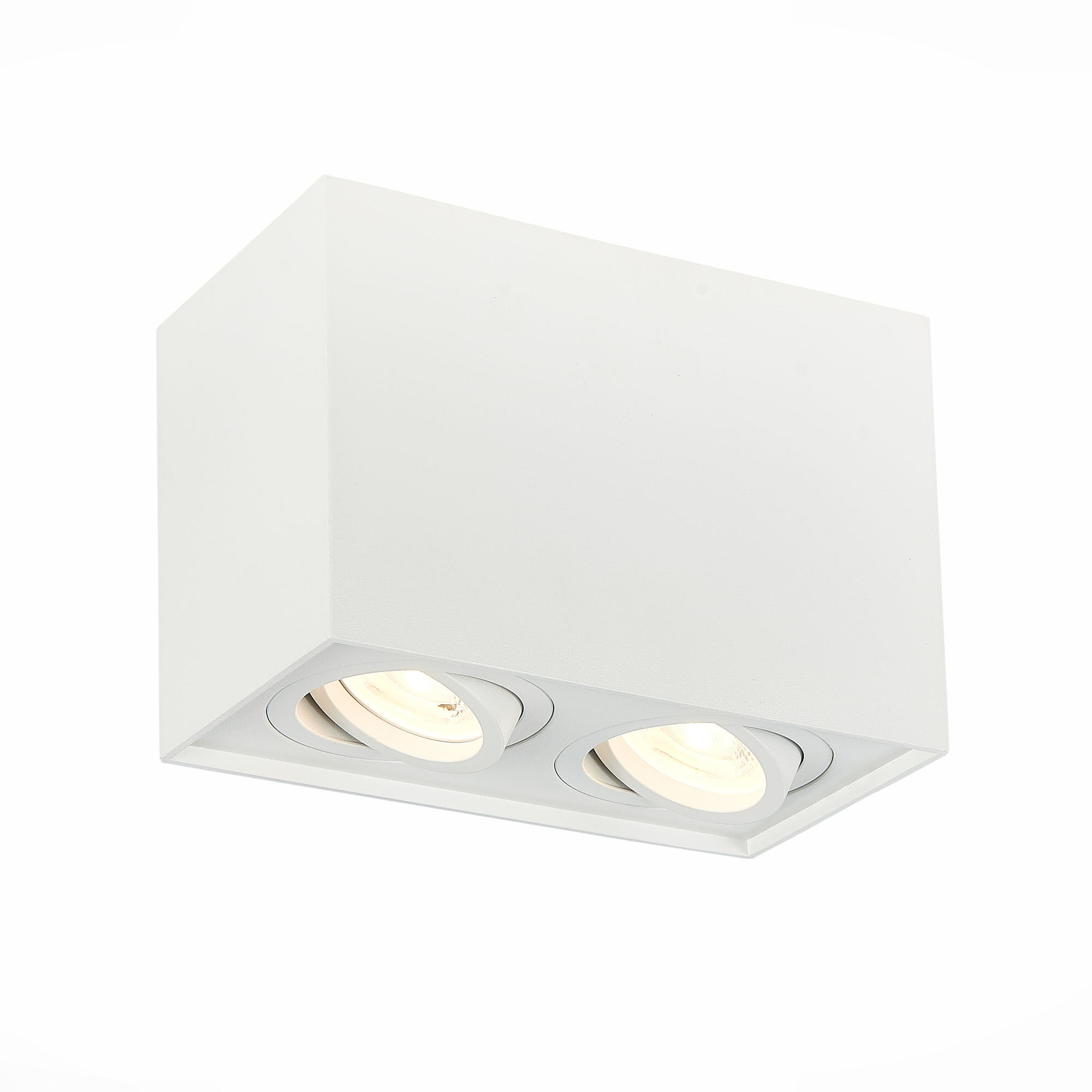 Потолочный светильник ST Luce Quadrus ST109.507.02