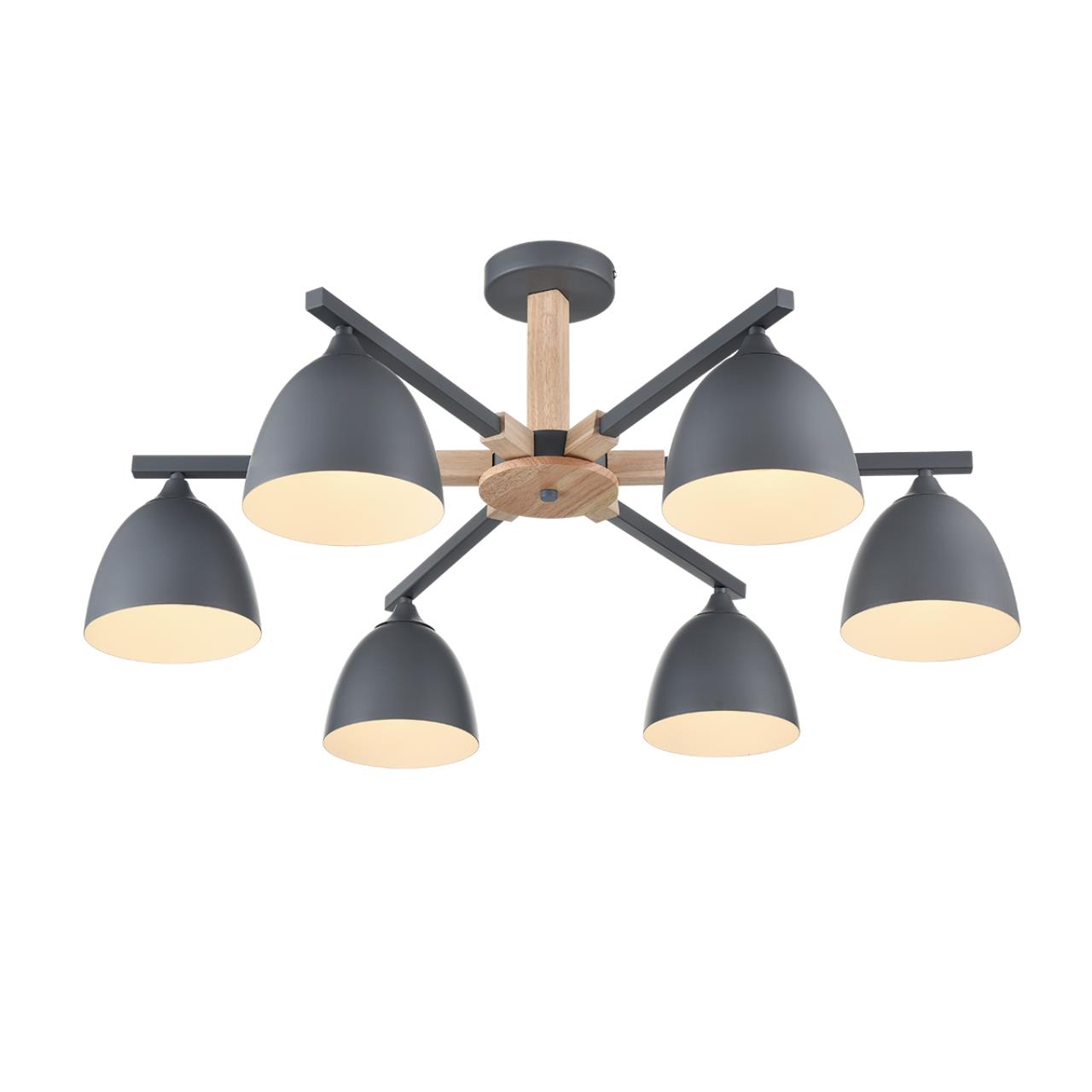 Потолочная люстра на штанге Lumion  COLANGE 8096/6C