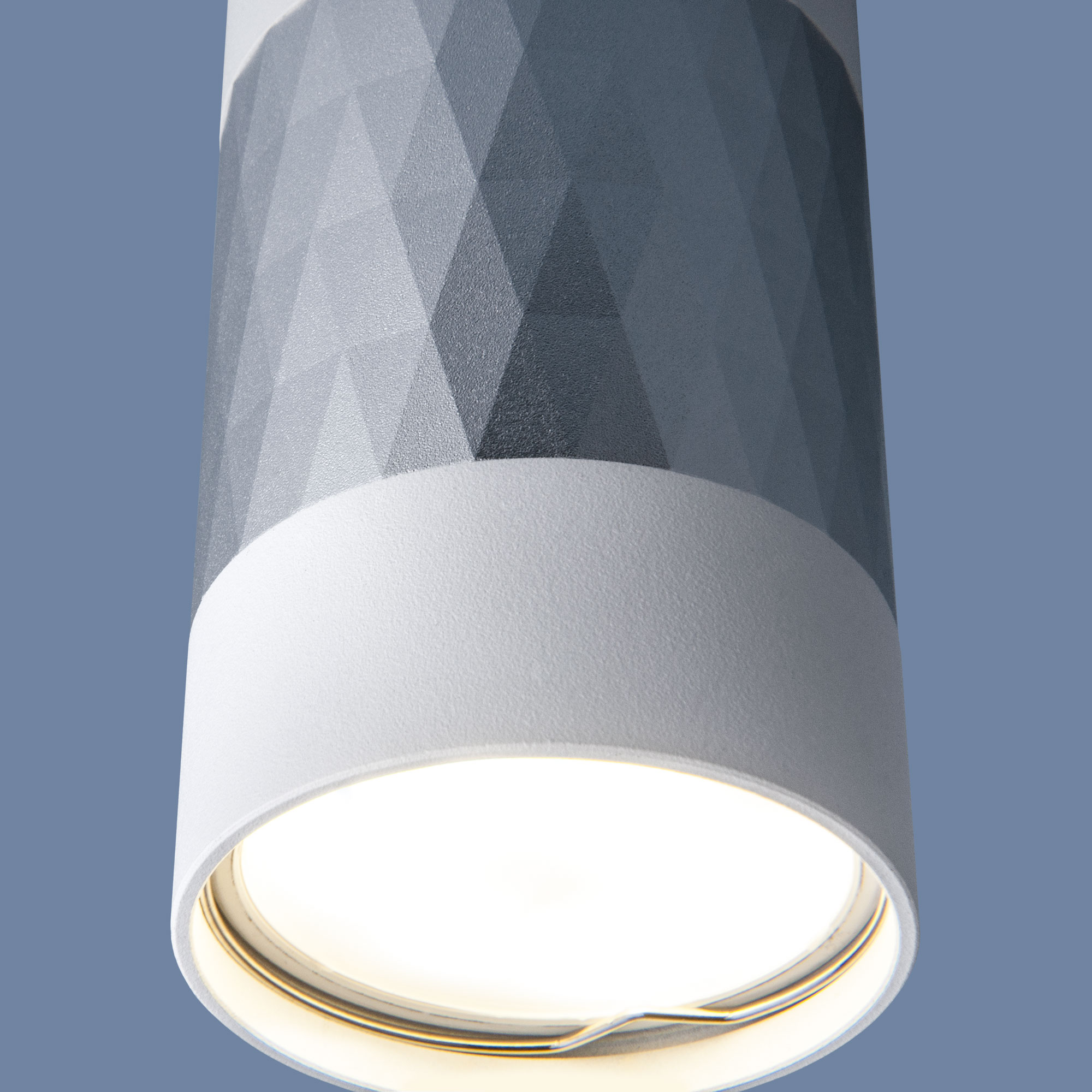 Потолочный светильник Elektrostandard Mizar DLN110 GU10 белый/серебро