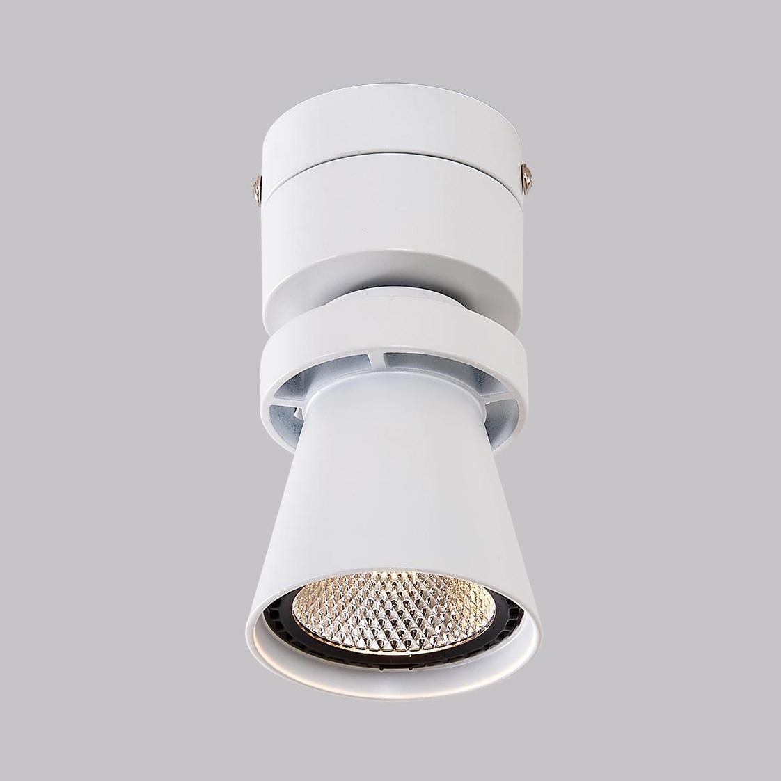 Потолочный светодиодный светильник Citilux Дубль-1 CL556510