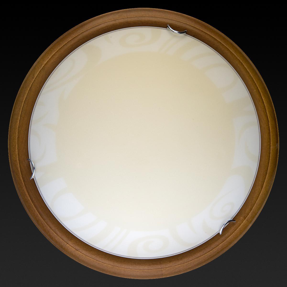 Настенно-потолочный светодиодный светильник Toplight Ginger TL9620Y-00OA