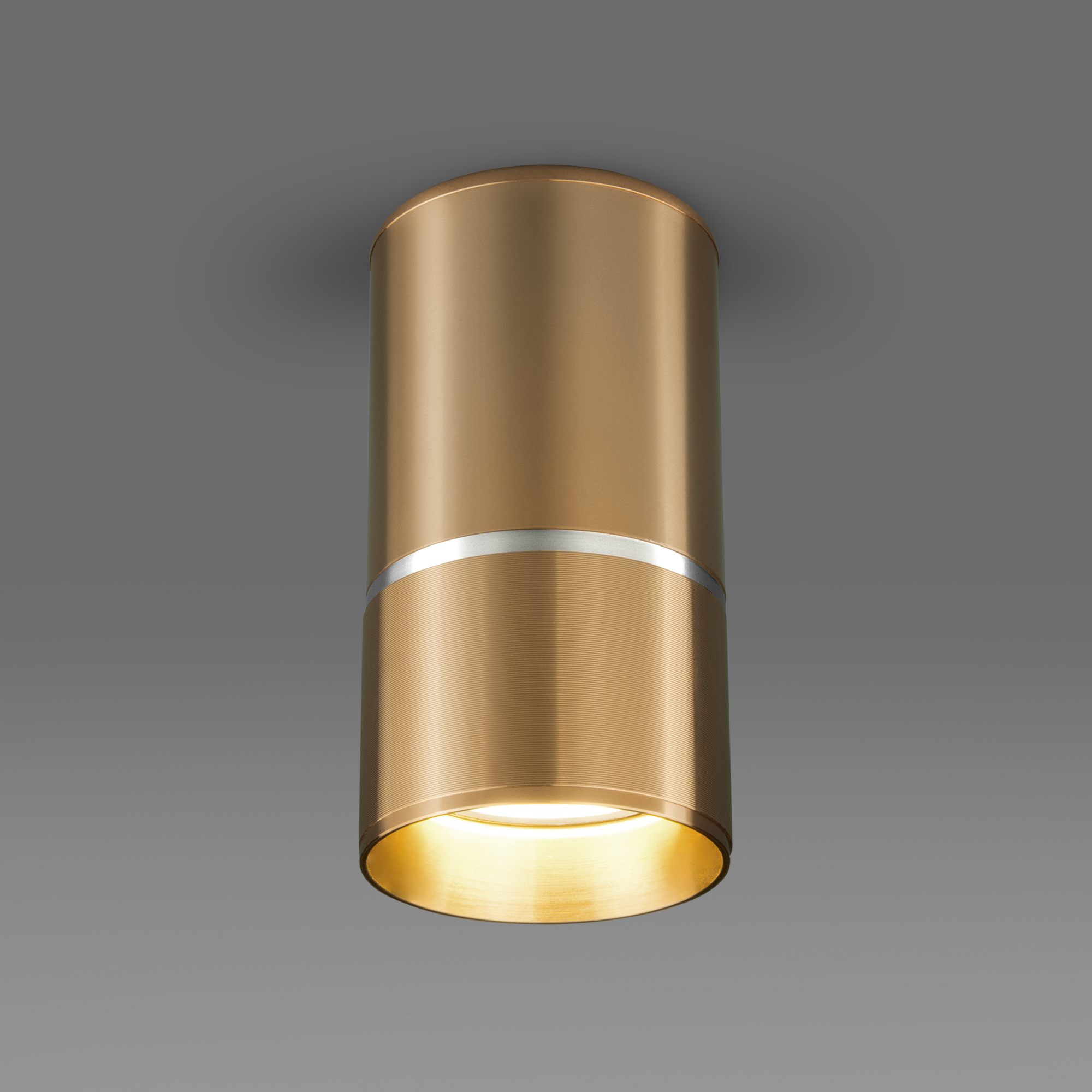 Потолочный светильник Elektrostandard DLN106 GU10 золото