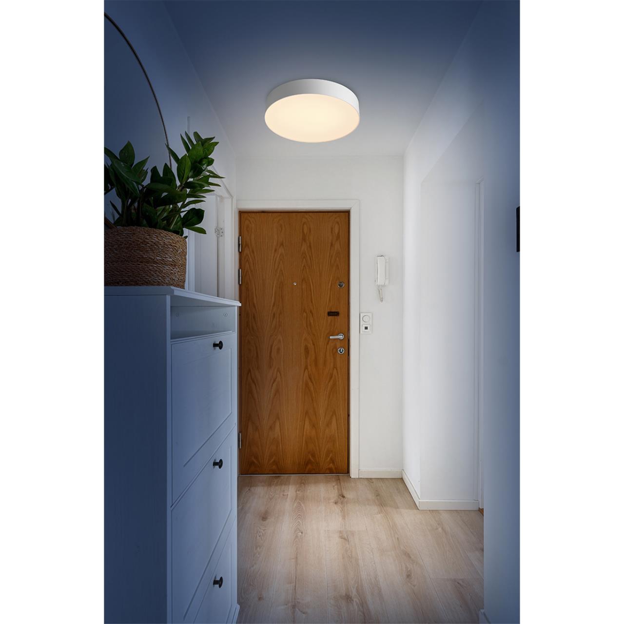 Настенно-потолочный круглый светильник с пультом ДУ Sonex OPTIMA 7779/DL