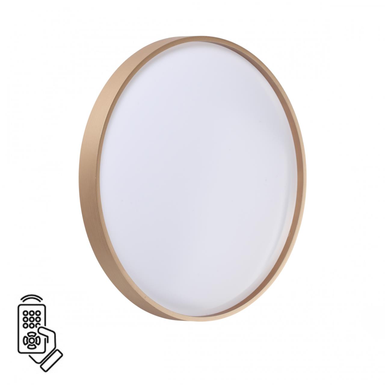 Настенно-потолочный светильник с пультом ДУ с защитой от влаги Sonex GABY 7783/DL