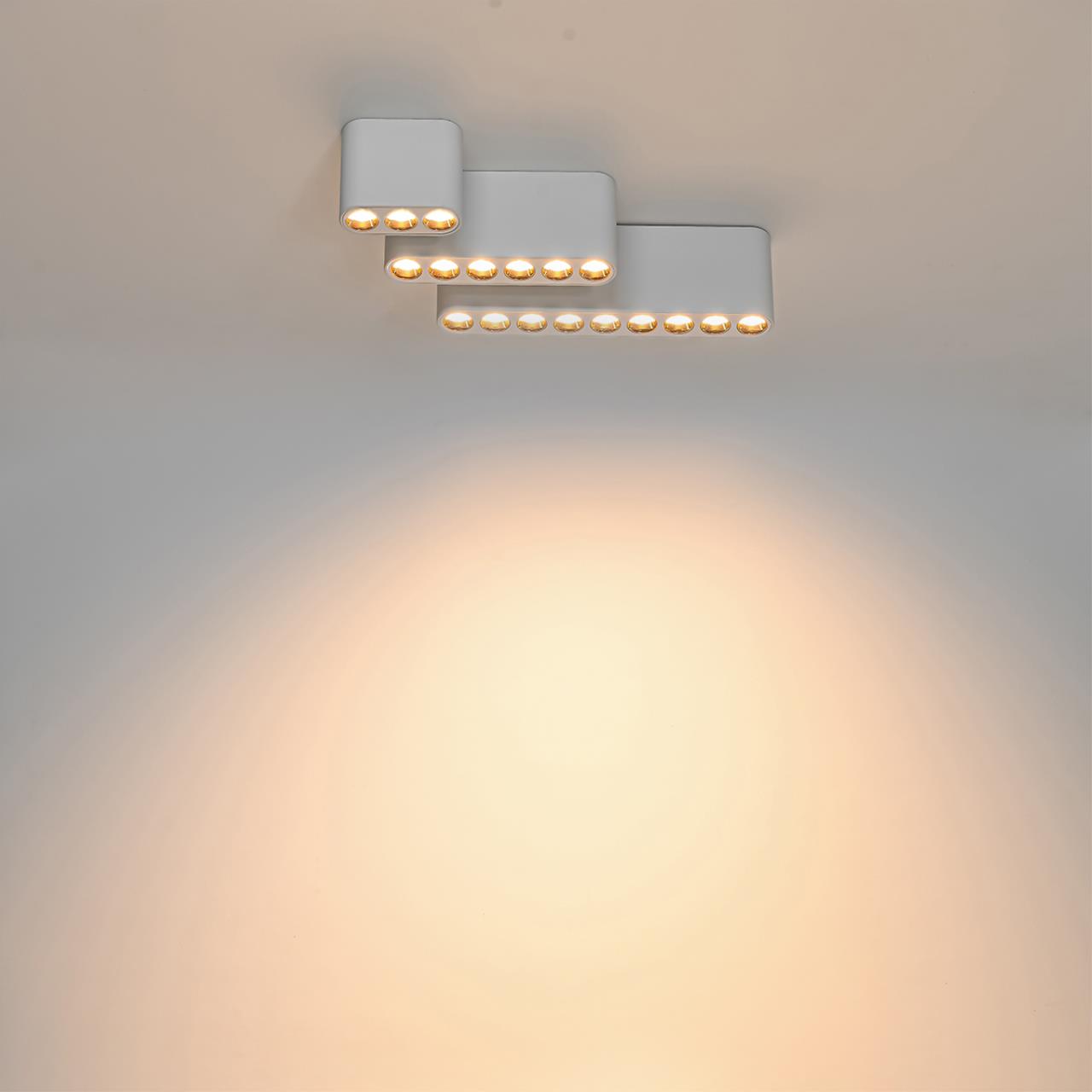 Потолочный накладной светильник Odeon Light  SMALL 7091/21CL