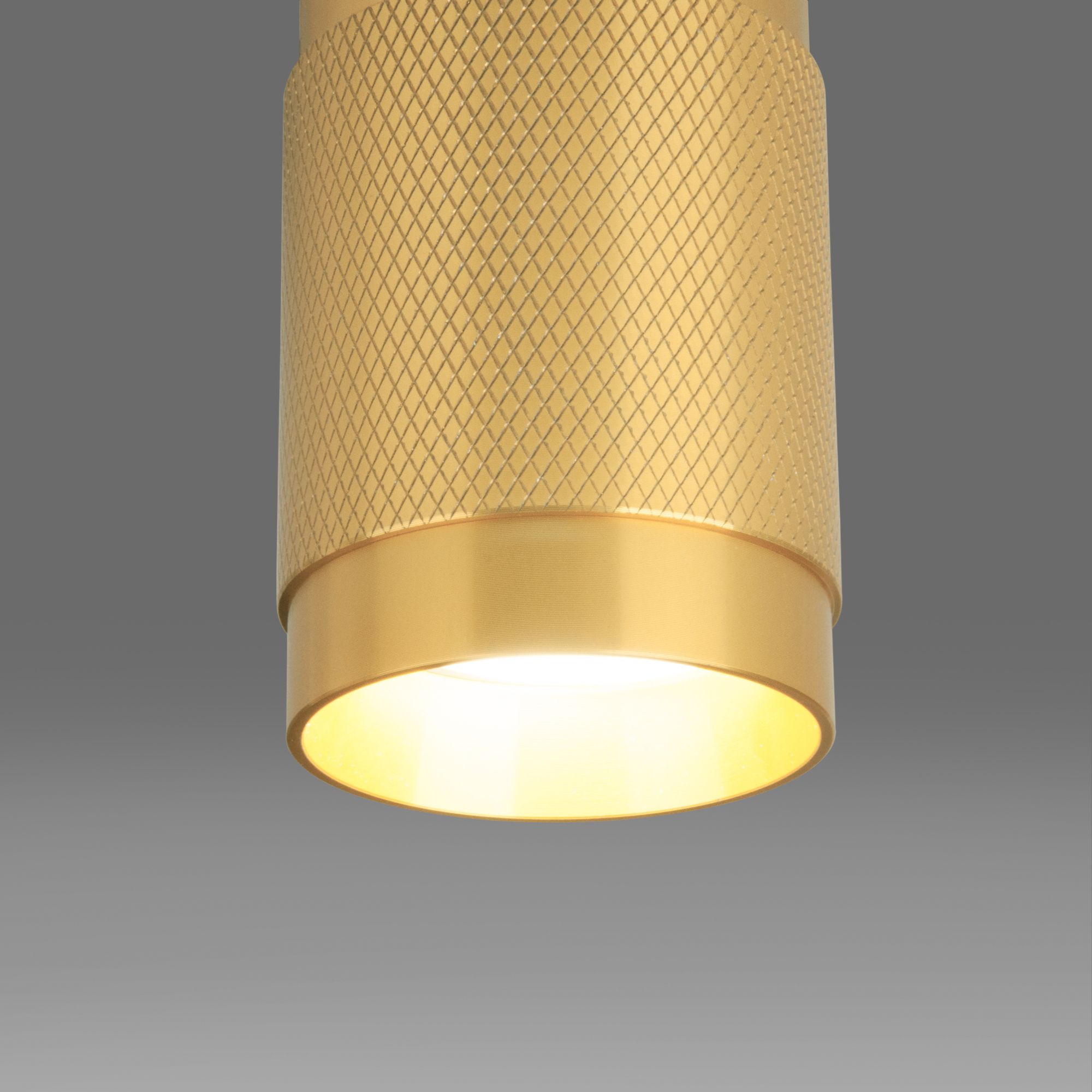 Потолочный светильник Elektrostandard Tony DLN109 GU10 золото