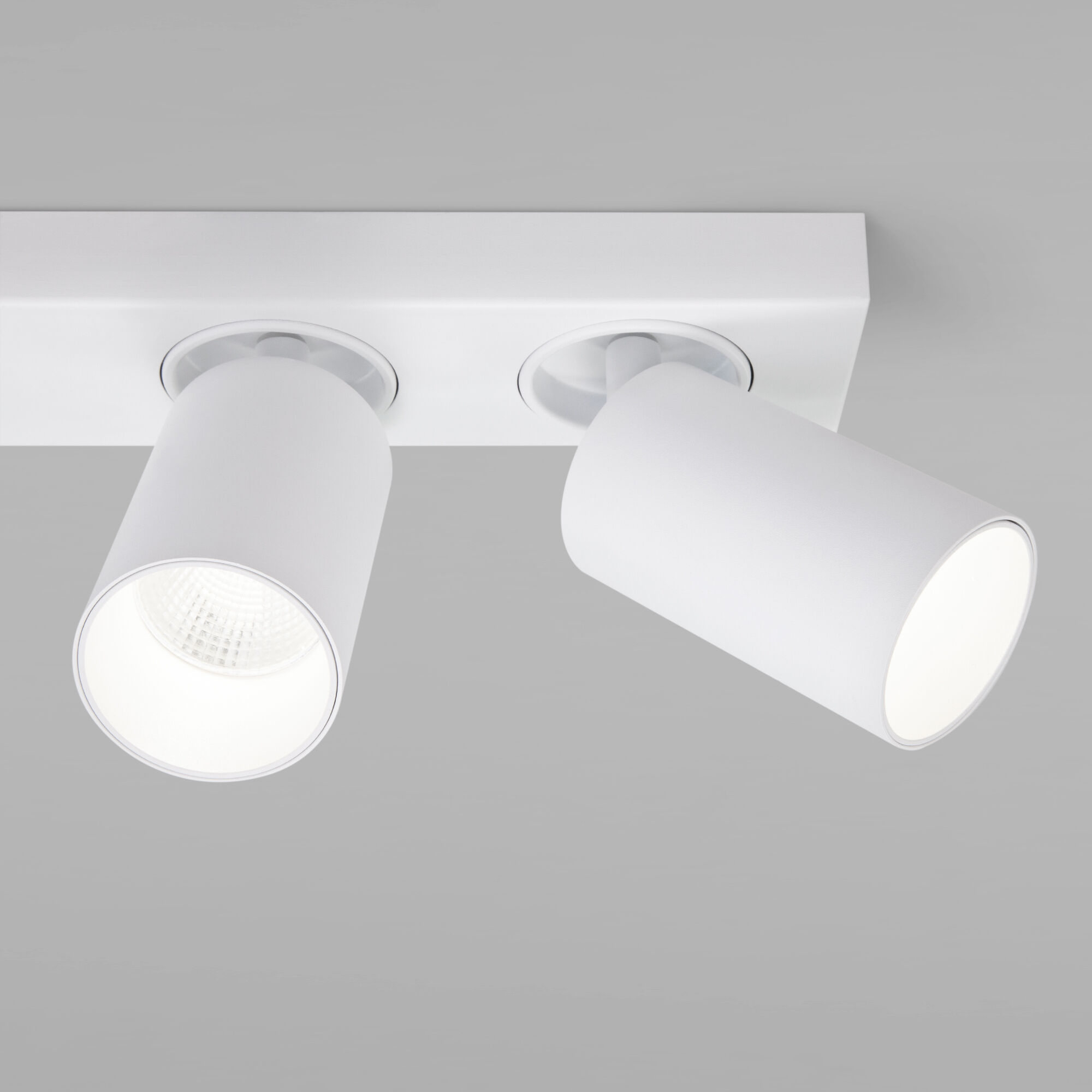 Настенно-потолочный поворотный спот Eurosvet Flank 20139/2 LED белый