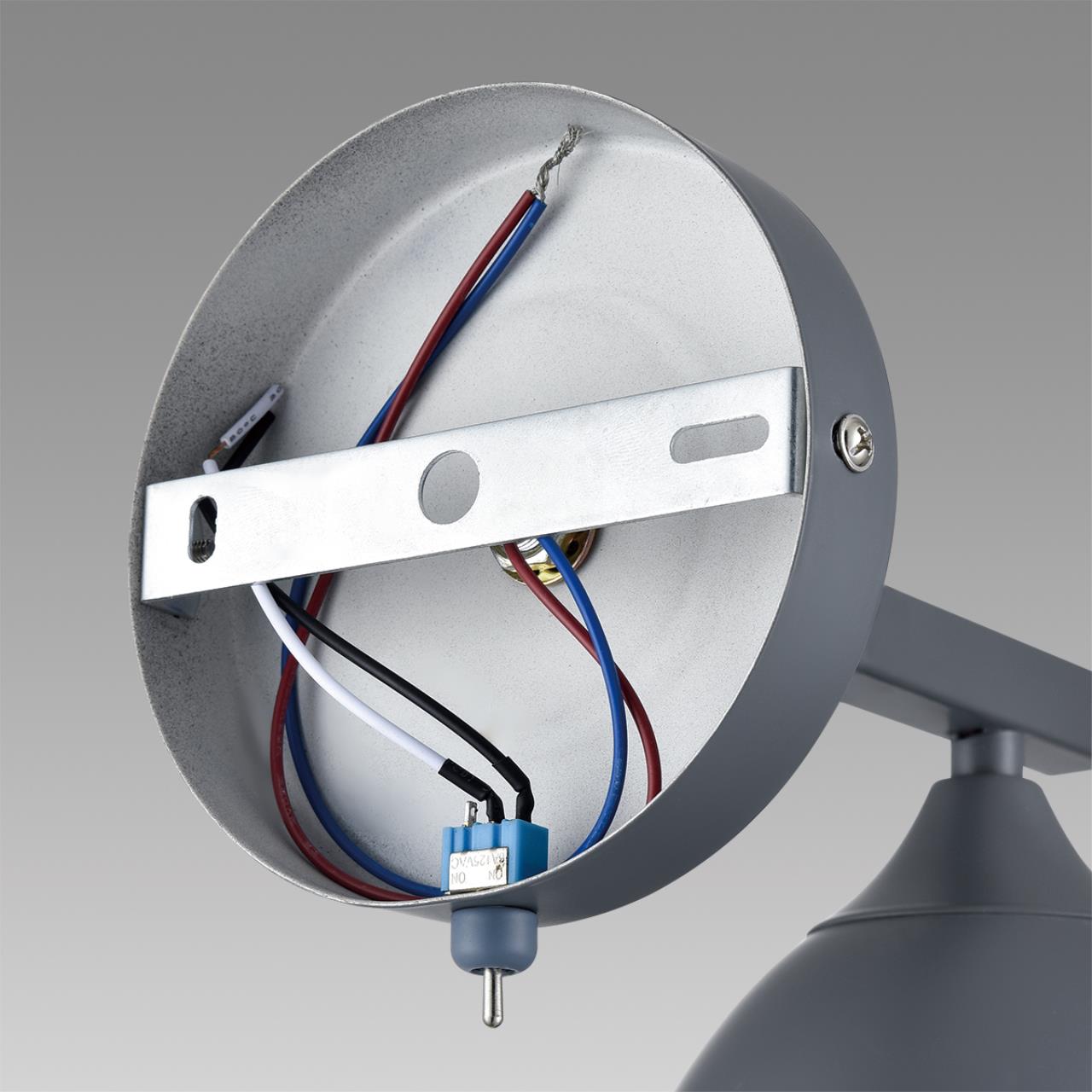 Бра с выключателем Lumion  COLANGE 8096/1W