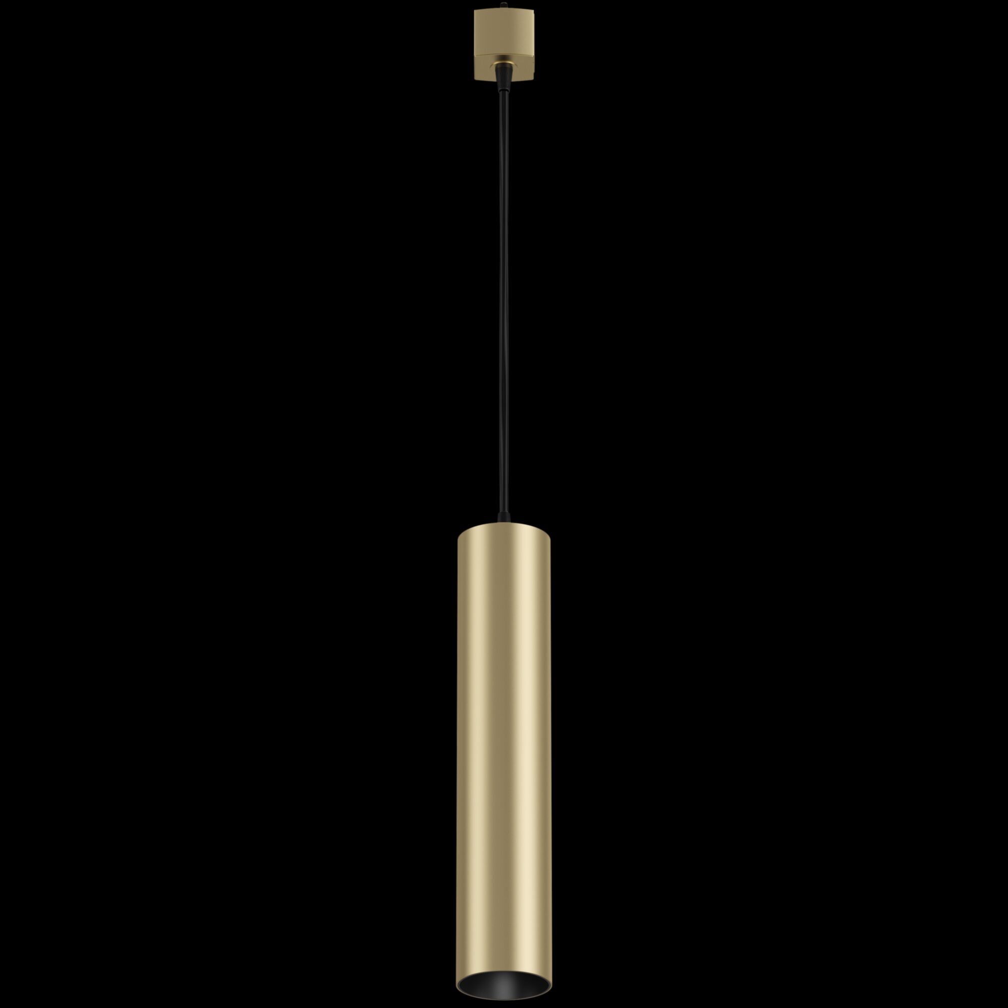 Трековый однофазный подвесной светильник Maytoni Focus TR025-1-GU10-MG