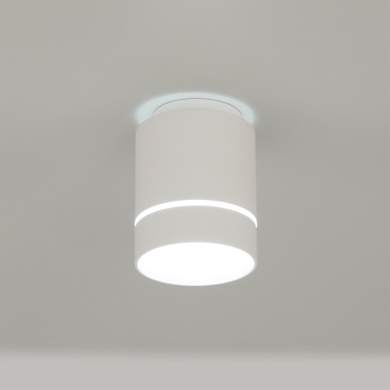 Потолочный светильник Citilux Борн CL745010N