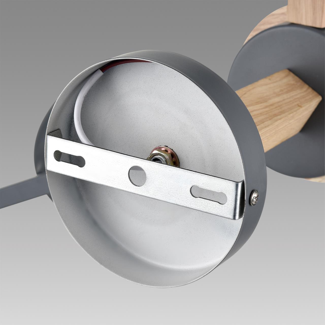 Потолочная люстра на штанге Lumion  COLANGE 8096/6C