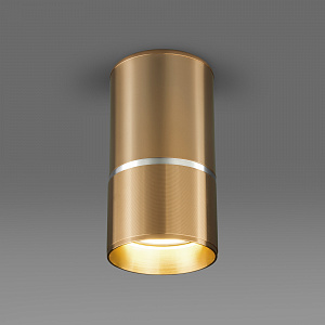 Потолочный светильник Elektrostandard DLN106 GU10 золото