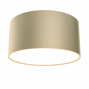 Потолочный накладной светодиодный светильник Maytoni Zon C032CL-L12MG4K