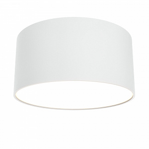 Потолочный накладной светодиодный светильник Maytoni Zon C032CL-L12W3K