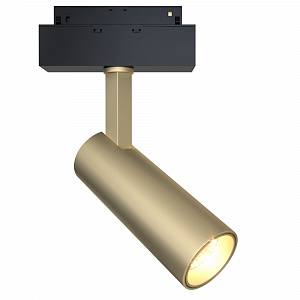 Трековый магнитный светильник Maytoni Focus LED TR019-2-10W3K-MG
