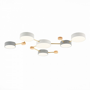 Потолочная люстра Evoluce DOSSENA SLE600102-06